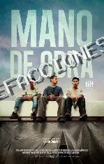 HORA O FRACCION DE MANO DE OBRA REPARACION