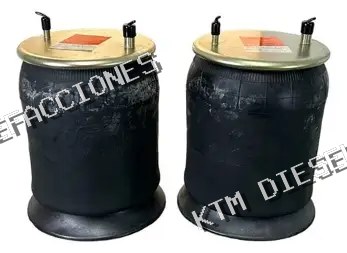 BOLSA DE AIRE 1R12-281 FIRESTONE 9 10 19 A358